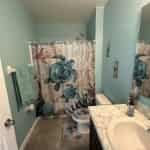 Gallery Image images/9981.jpg